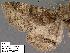  ( - 1939-COI-07)  @11 [ ] Unspecified (default): All Rights Reserved  Unspecified Unspecified