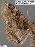  ( - 1940-COI-07)  @11 [ ] Unspecified (default): All Rights Reserved  Unspecified Unspecified