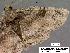  ( - 3000-COI-08)  @13 [ ] Unspecified (default): All Rights Reserved  Unspecified Unspecified