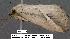  ( - 3010-COI-08)  @13 [ ] Unspecified (default): All Rights Reserved  Unspecified Unspecified
