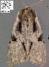  ( - 3042-COI-08)  @12 [ ] Unspecified (default): All Rights Reserved  Unspecified Unspecified