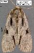  ( - 3043-COI-08)  @12 [ ] Unspecified (default): All Rights Reserved  Unspecified Unspecified
