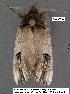  ( - 3057-COI-08)  @12 [ ] Unspecified (default): All Rights Reserved  Unspecified Unspecified