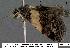  ( - 3097-COI-07)  @13 [ ] Unspecified (default): All Rights Reserved  Unspecified Unspecified