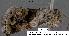  ( - 3099-COI-07)  @12 [ ] Unspecified (default): All Rights Reserved  Unspecified Unspecified