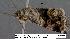  ( - 3102-COI-07)  @12 [ ] Unspecified (default): All Rights Reserved  Unspecified Unspecified