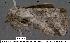  ( - 3128-COI-07)  @13 [ ] Unspecified (default): All Rights Reserved  Unspecified Unspecified