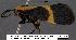  ( - 3129-COI-07)  @11 [ ] Unspecified (default): All Rights Reserved  Unspecified Unspecified