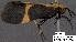  ( - 3130-COI-07)  @13 [ ] Unspecified (default): All Rights Reserved  Unspecified Unspecified