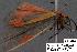  ( - 3134-COI-07)  @12 [ ] Unspecified (default): All Rights Reserved  Unspecified Unspecified