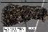  ( - 3152-COI-07)  @12 [ ] Unspecified (default): All Rights Reserved  Unspecified Unspecified