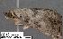  ( - 3164-COI-07)  @12 [ ] Unspecified (default): All Rights Reserved  Unspecified Unspecified