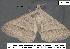  ( - 3206-COI-08)  @11 [ ] Unspecified (default): All Rights Reserved  Unspecified Unspecified