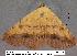  ( - 3239-COI-08)  @12 [ ] Unspecified (default): All Rights Reserved  Unspecified Unspecified