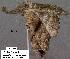  ( - 3247-COI-08)  @13 [ ] Unspecified (default): All Rights Reserved  Unspecified Unspecified