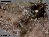  ( - 3254-COI-08)  @12 [ ] Unspecified (default): All Rights Reserved  Unspecified Unspecified