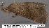  ( - 3266-COI-08)  @12 [ ] Unspecified (default): All Rights Reserved  Unspecified Unspecified