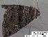  ( - 3267-COI-08)  @12 [ ] Unspecified (default): All Rights Reserved  Unspecified Unspecified