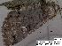  ( - 3268-COI-08)  @12 [ ] Unspecified (default): All Rights Reserved  Unspecified Unspecified