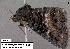  ( - 3269-COI-08)  @12 [ ] Unspecified (default): All Rights Reserved  Unspecified Unspecified
