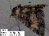  ( - 3272-COI-08)  @12 [ ] Unspecified (default): All Rights Reserved  Unspecified Unspecified