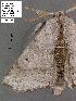  ( - 3419-COI-08)  @12 [ ] Unspecified (default): All Rights Reserved  Unspecified Unspecified