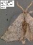  ( - 3420-COI-08)  @12 [ ] Unspecified (default): All Rights Reserved  Unspecified Unspecified