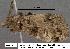  ( - 3424-COI-08)  @12 [ ] Unspecified (default): All Rights Reserved  Unspecified Unspecified