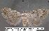  ( - 3468-COI-08)  @12 [ ] Unspecified (default): All Rights Reserved  Unspecified Unspecified