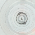  (Aprionus karlssonorum - HLNR_045_H11)  @11 [ ] by  Genome Research Ltd as Wellcome Sanger Institute Genome Research Limited operating as Wellcome Sanger Institute