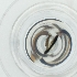  ( - HLNR_047_D5)  @11 [ ] by  Genome Research Ltd as Wellcome Sanger Institute Genome Research Limited operating as Wellcome Sanger Institute