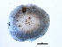  ( - BIOUG00772-B09)  @13 [ ] CreativeCommons - Attribution (2010) CBG Photography Group Centre for Biodiversity Genomics