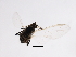  ( - BIOUG00783-C07)  @12 [ ] CreativeCommons - Attribution (2011) CBG Photography Group Centre for Biodiversity Genomics