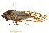  ( - BIOUG00802-A12)  @13 [ ] CreativeCommons - Attribution (2011) CBG Photography Group Centre for Biodiversity Genomics