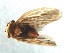  ( - 08BBHEM-411)  @12 [ ] CreativeCommons - Attribution (2009) Unspecified Centre for Biodiversity Genomics