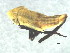  ( - 08BBHEM-420)  @12 [ ] CreativeCommons - Attribution (2009) Unspecified Centre for Biodiversity Genomics