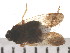  ( - 08BBHEM-503)  @12 [ ] CreativeCommons - Attribution (2009) Unspecified Centre for Biodiversity Genomics