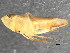  ( - 08BBHEM-534)  @12 [ ] CreativeCommons - Attribution (2009) Unspecified Centre for Biodiversity Genomics
