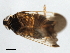  ( - 08BBHEM-765)  @12 [ ] CreativeCommons - Attribution (2009) Unspecified Centre for Biodiversity Genomics