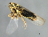  ( - 08BBHEM-769)  @12 [ ] CreativeCommons - Attribution (2009) Unspecified Centre for Biodiversity Genomics