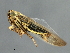 ( - 08BBHEM-775)  @12 [ ] CreativeCommons - Attribution (2009) Unspecified Centre for Biodiversity Genomics
