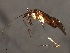  ( - 08BBHEM-864)  @13 [ ] CreativeCommons - Attribution (2009) Unspecified Centre for Biodiversity Genomics