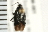 ( - 08BBHEM-001)  @14 [ ] CreativeCommons - Attribution (2008) Unspecified Centre for Biodiversity Genomics