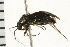  ( - 08BBHEM-006)  @12 [ ] CreativeCommons - Attribution (2008) Unspecified Centre for Biodiversity Genomics
