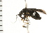  ( - 08BBHEM-008)  @12 [ ] CreativeCommons - Attribution (2008) Unspecified Centre for Biodiversity Genomics