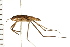  ( - 08BBHEM-019)  @12 [ ] CreativeCommons - Attribution (2008) Unspecified Centre for Biodiversity Genomics
