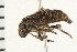  ( - 08BBHEM-037)  @13 [ ] CreativeCommons - Attribution (2008) Unspecified Centre for Biodiversity Genomics