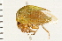  ( - 08BBHEM-070)  @12 [ ] CreativeCommons - Attribution (2008) Unspecified Centre for Biodiversity Genomics