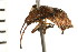 ( - 08BBHEM-133)  @12 [ ] CreativeCommons - Attribution (2010) Unspecified Centre for Biodiversity Genomics