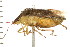  ( - 08BBHEM-166)  @12 [ ] CreativeCommons - Attribution (2010) Unspecified Centre for Biodiversity Genomics